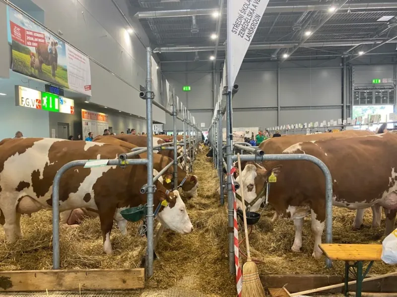 Prezentace časopisu Czech Journal of Animal Science na Národní výstavě hospodářských zvířat v Brně