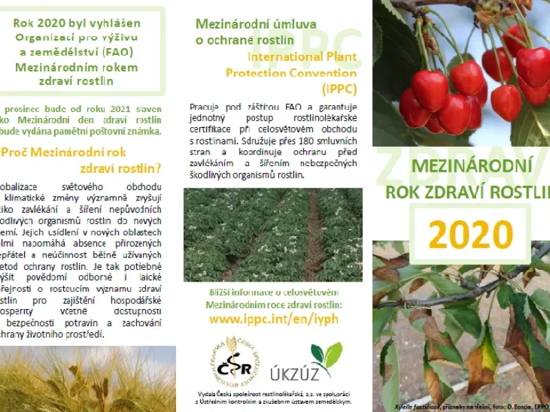 Setkání pracovní skupiny k Mezinárodnímu roku zdraví rostlin 2020