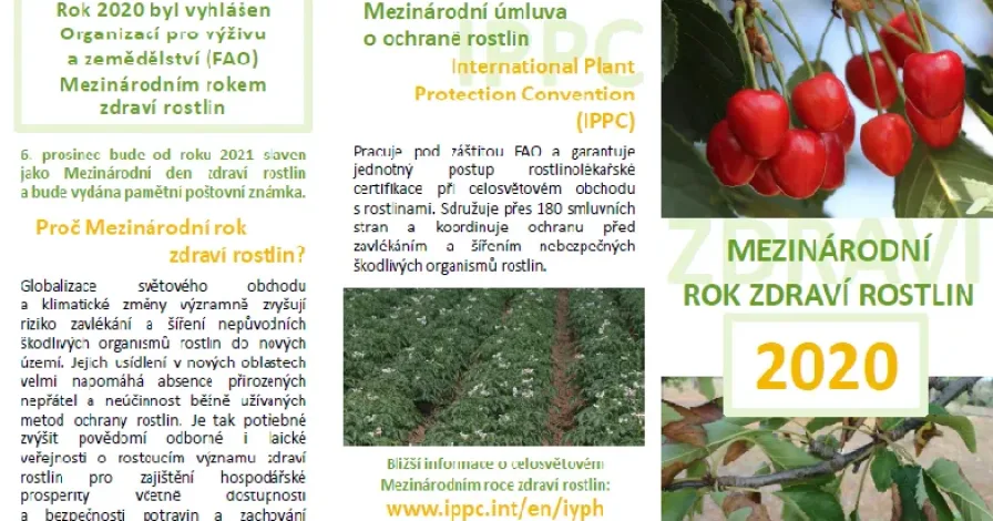 Setkání pracovní skupiny k Mezinárodnímu roku zdraví rostlin 2020