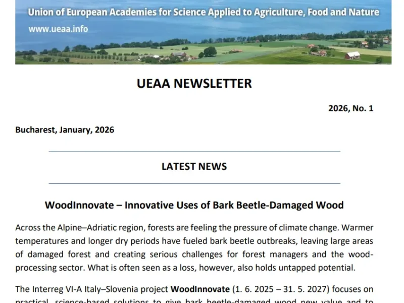 UEAA Newsletter č. 12/2025 a č. 1/2026