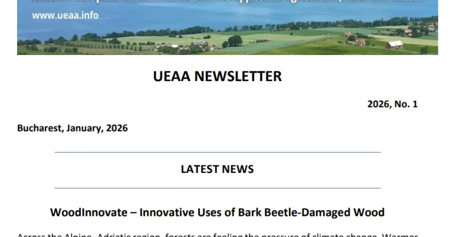 UEAA Newsletter č. 12/2025 a č. 1/2026