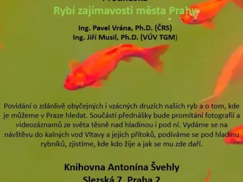 Rybí zajímavosti města Prahy