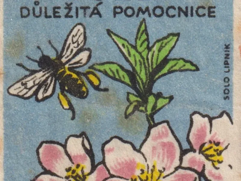 Přinášíme retro edici zápalkových nálepek s motivy ovoce a zeleniny. Vzpomínáte si na ně?