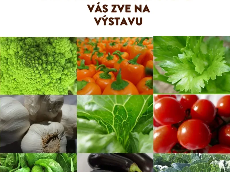 Výstava „Zelenina s rodokmenem před objektivem“