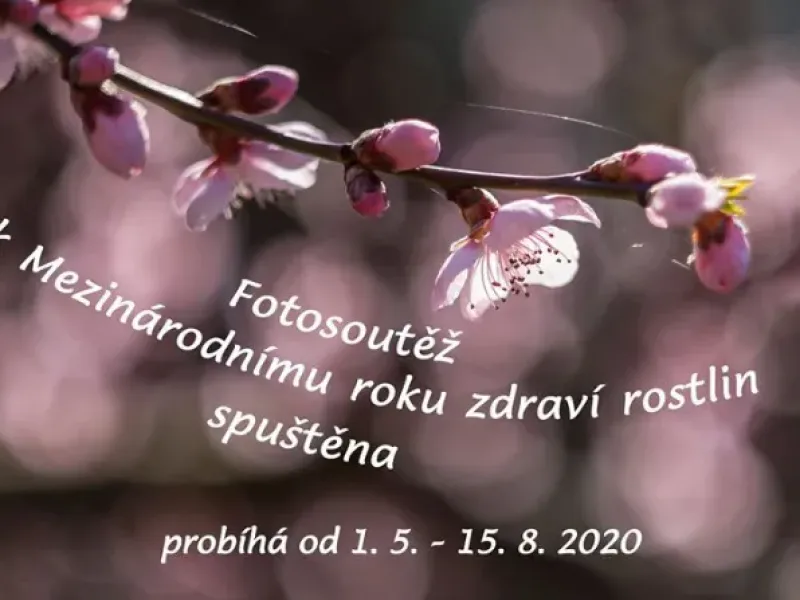 Fotosoutěž – „Pečujme o zdraví rostlin, i ony mohou být nemocné“