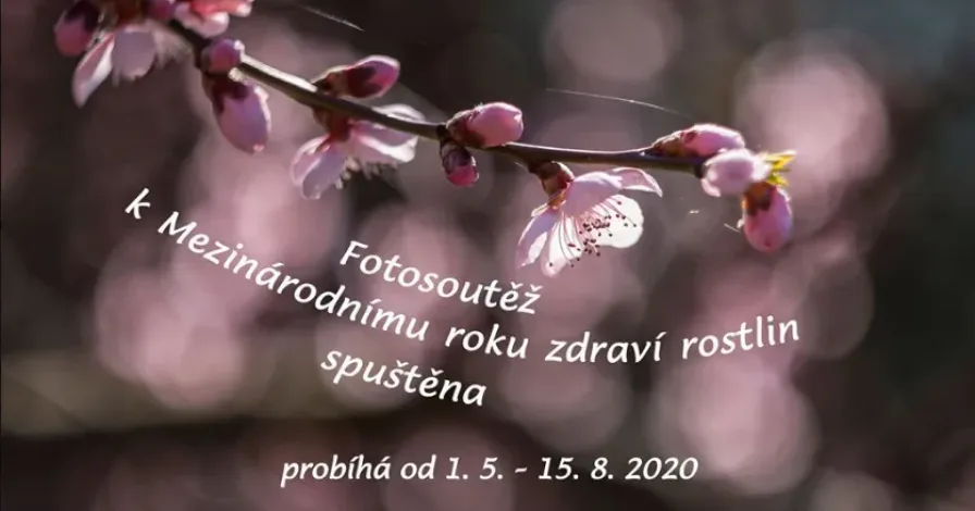 Fotosoutěž – „Pečujme o zdraví rostlin, i ony mohou být nemocné“