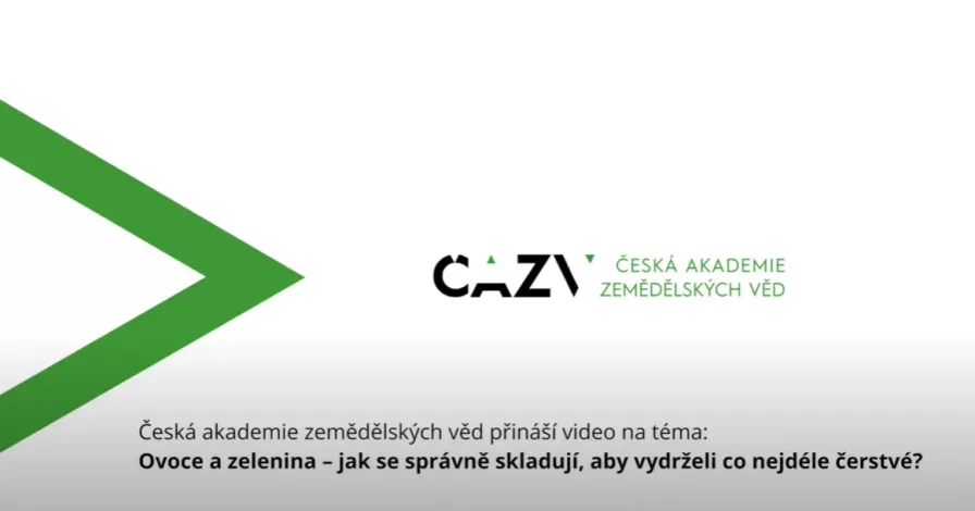Druhé video na téma ovoce a zelenina, tentokrát o skladování